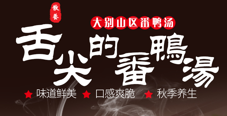 散养番鸭汤